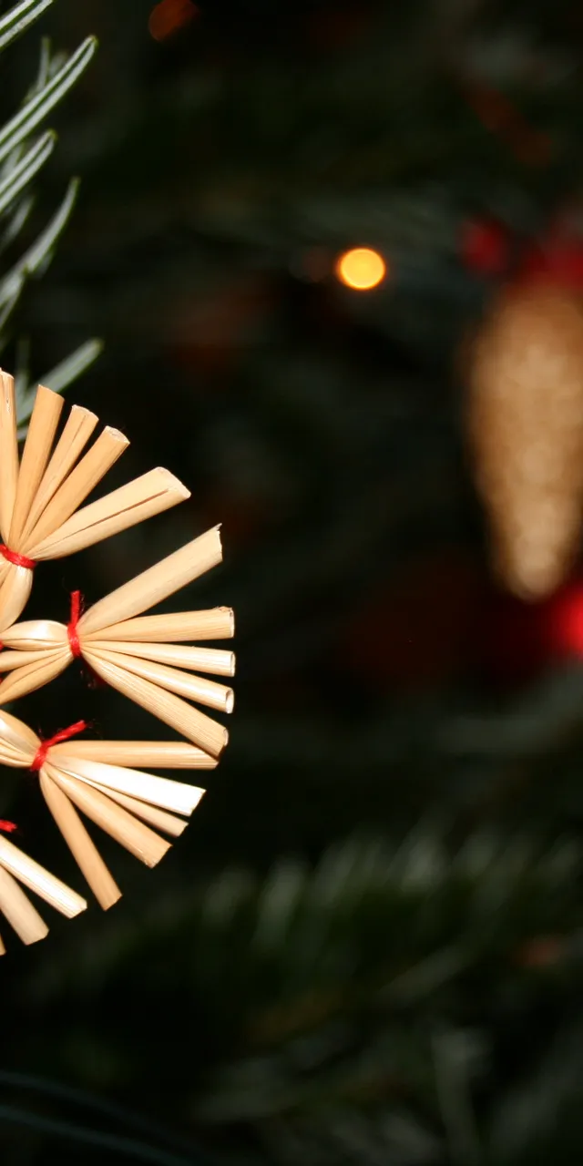 Traditioneller Strohstern als Baumschmuck an einem Weihnachtsbaumzweig