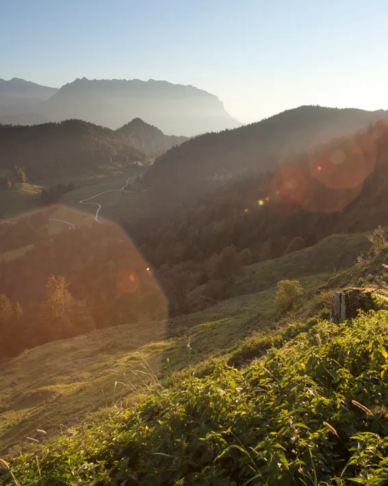 Sonnenaufgang über alpiner Berglandschaft mit bewaldeten Hügeln und kurvigem Pfad