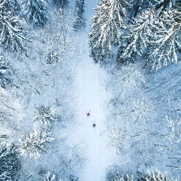 Aerial view of cross-country skiers on snow-covered forest trail in winter landscape