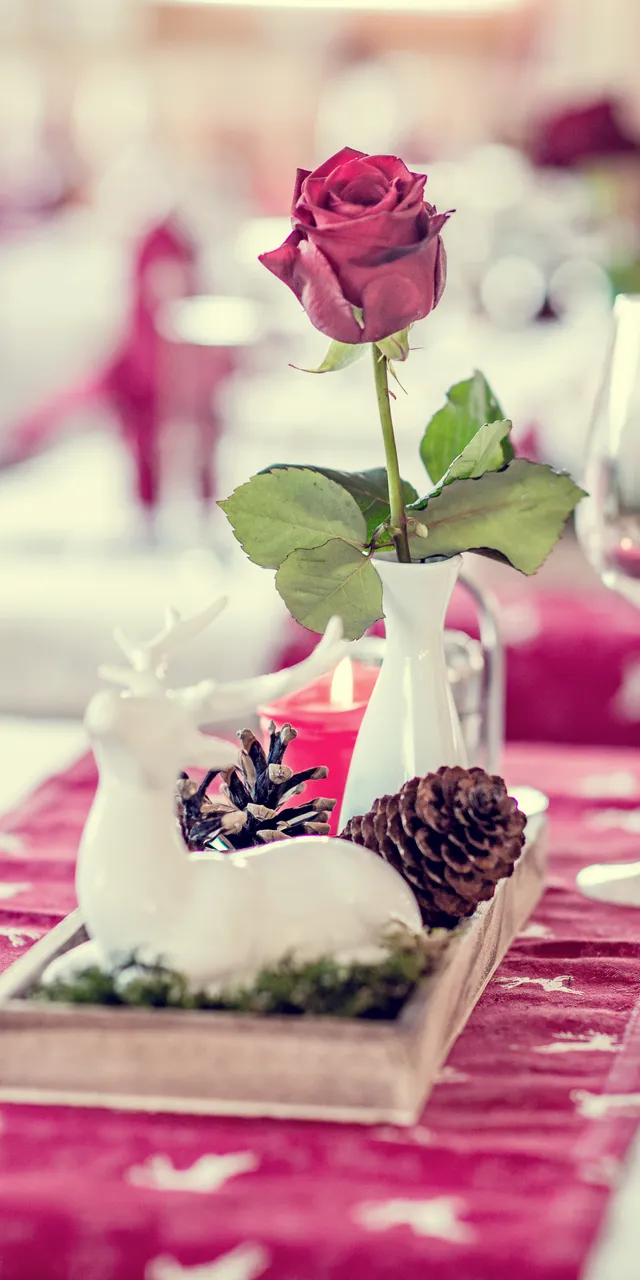 Festive table setting with red rose, pine cones, and deer-themed decorations