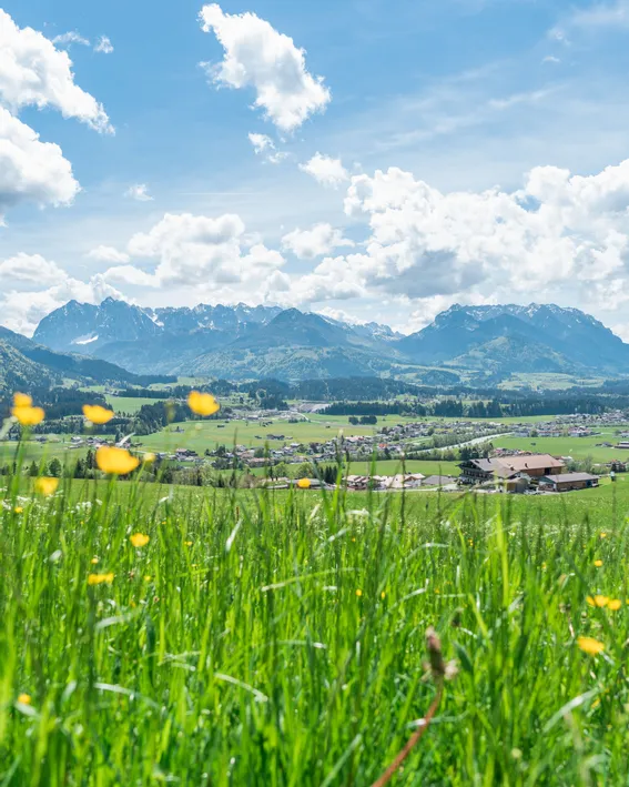 Alpendorf umgeben von grünen Wiesen und Bergen unter teils bewölktem Himmel