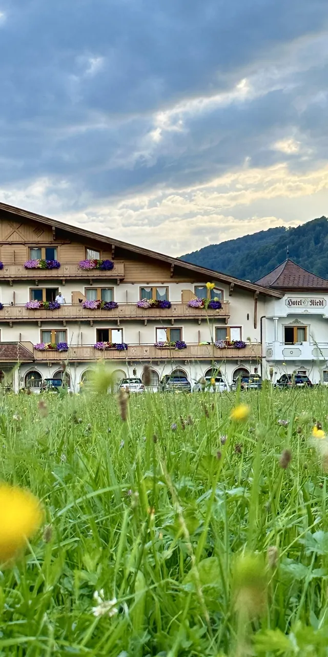 Alpine hotel with flowered balconies behind wildflower meadow at sunset