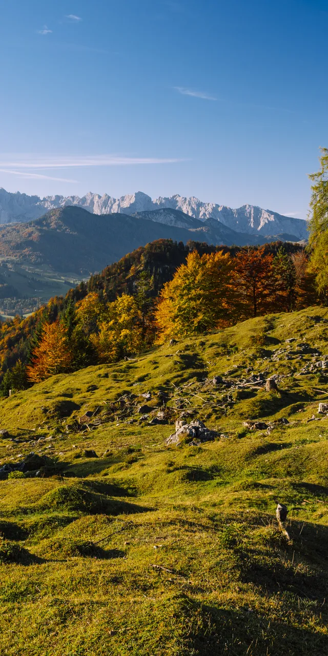 Scenic autumn landscape in the Alps with colorful trees and distant mountain peaks