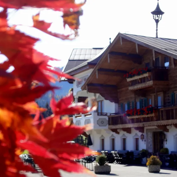 Traditional alpine chalet with flower boxes and autumn leaves in foreground