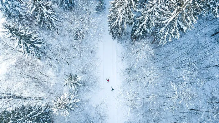 Aerial view of cross-country skiers on snow-covered forest trail in winter landscape