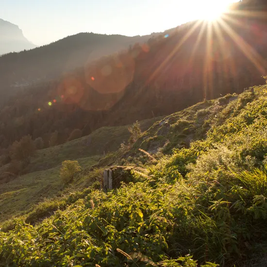 Sonnenaufgang über alpiner Berglandschaft mit bewaldeten Hügeln und kurvigem Pfad