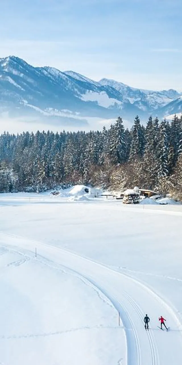 Langläufer auf verschneiter Loipe mit Alpenbergen und Wald im Winter