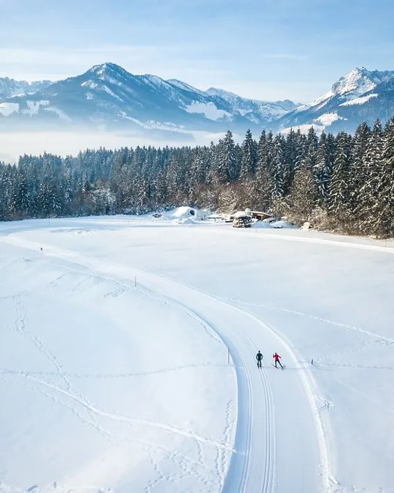 Langläufer auf verschneiter Loipe mit Alpenbergen und Wald im Winter