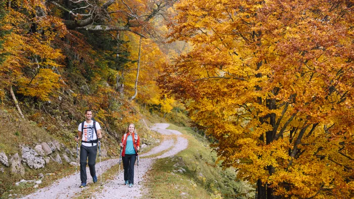 Couple hiking on forest trail surrounded by vibrant autumn foliage