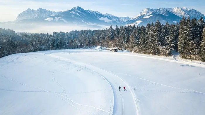 Cross-country skiers on snowy trail with alpine mountains and forest in winter