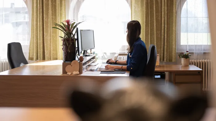 Frau arbeitet am Computer in einem sonnendurchfluteten Büro mit Dekopflanzen und großen Bogenfenstern