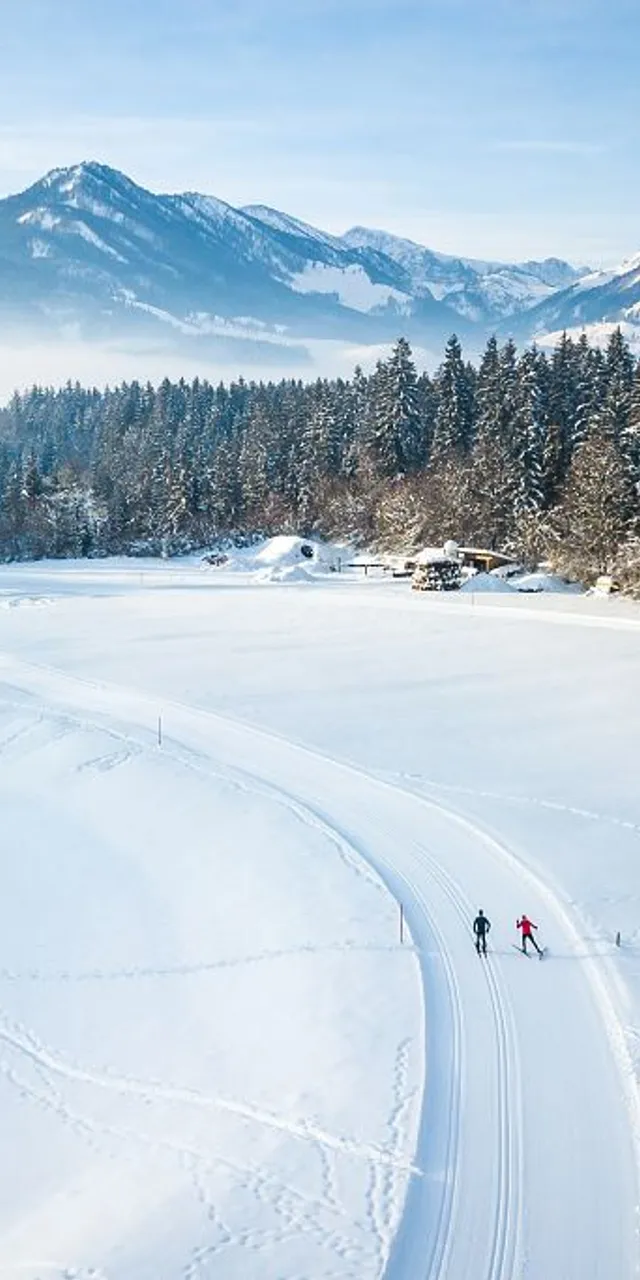 Langläufer auf verschneiter Loipe mit Alpenbergen und Wald im Winter