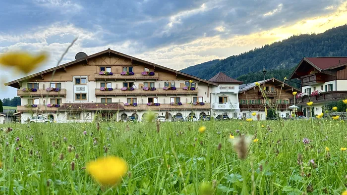 Alpine hotel with flowered balconies behind wildflower meadow at sunset