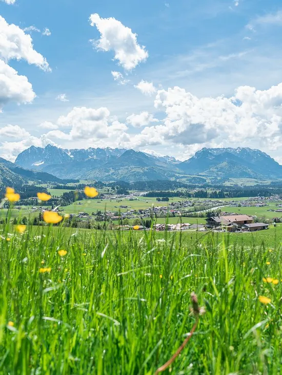Alpendorf mit Wiesen und Wildblumen vor Bergkulisse unter blauem Himmel