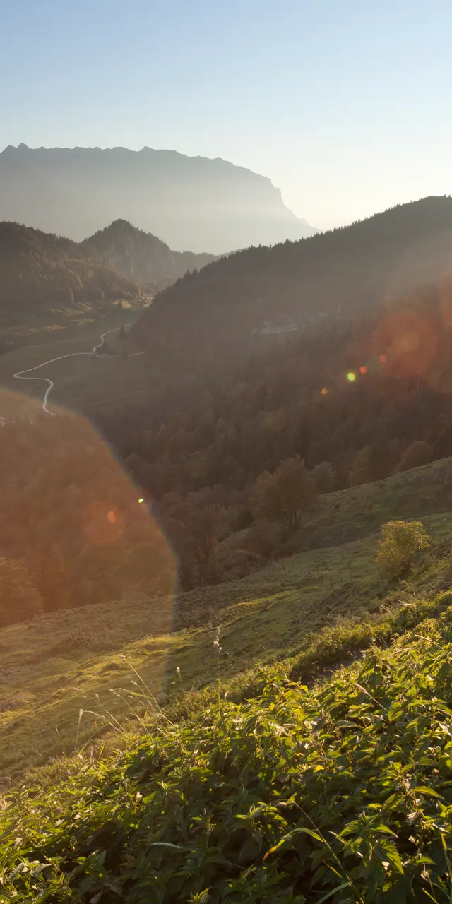 Sunrise over alpine mountain landscape with forested hills and winding path