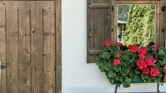 Rustic wooden door and window with red geraniums in a flower box