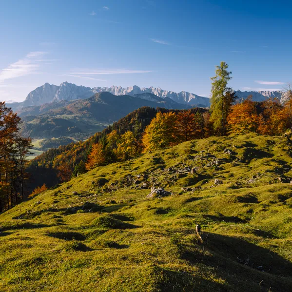 Herbstliche Alpenlandschaft mit bunten Bäumen und fernen Berggipfeln