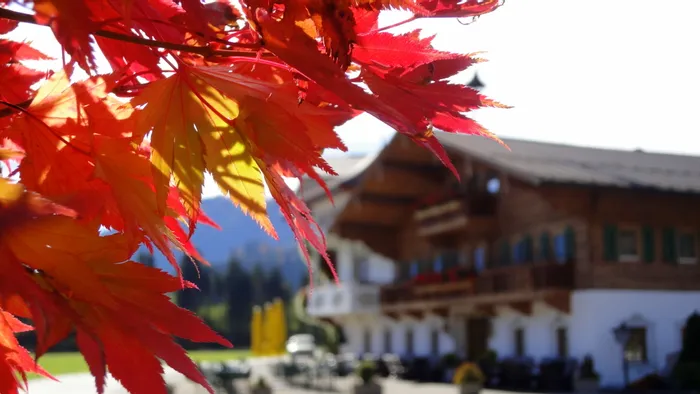 Leuchtend rote und orangefarbene Ahornblätter vor traditionellem Alpenchalet im Hintergrund