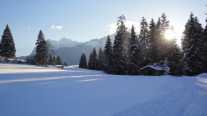 Schneebedeckte Alpenlandschaft mit Tannen, Bergkulisse und kleiner Holzhütte im Sonnenlicht