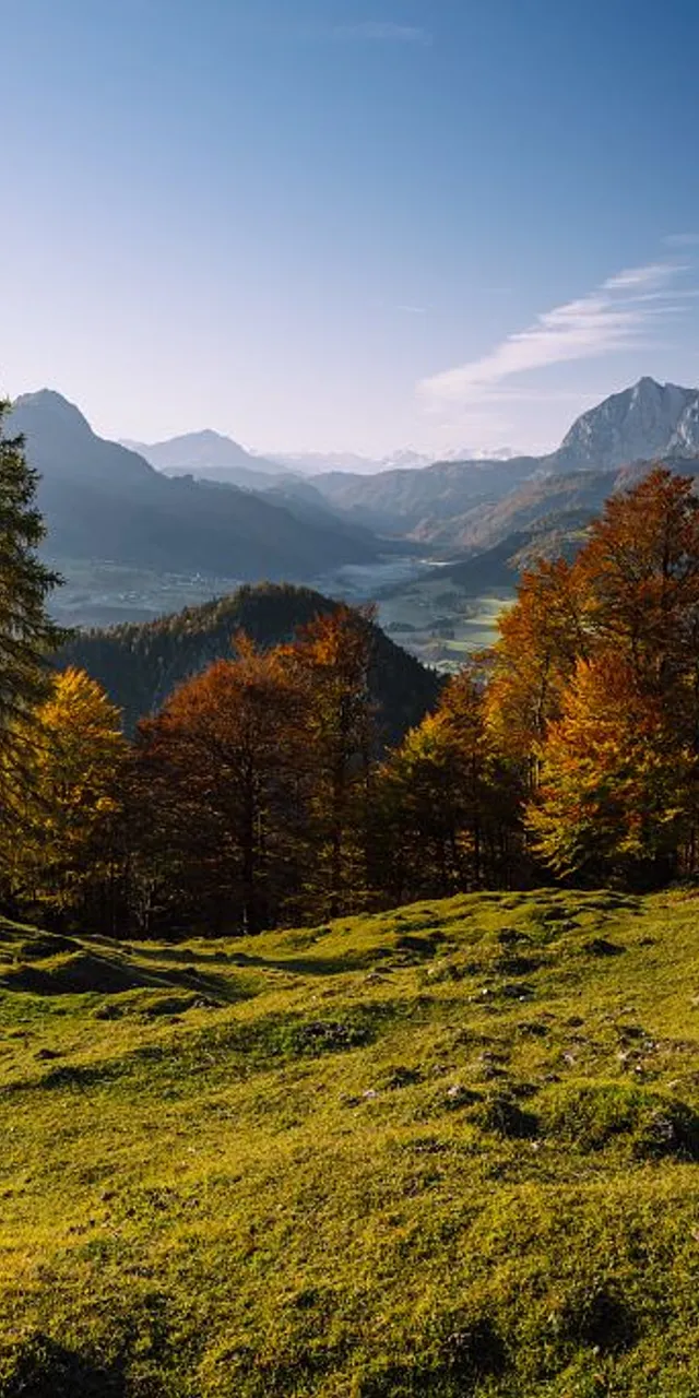 Autumn mountain landscape with green meadow, colorful trees, and alpine peaks under a clear blue sky