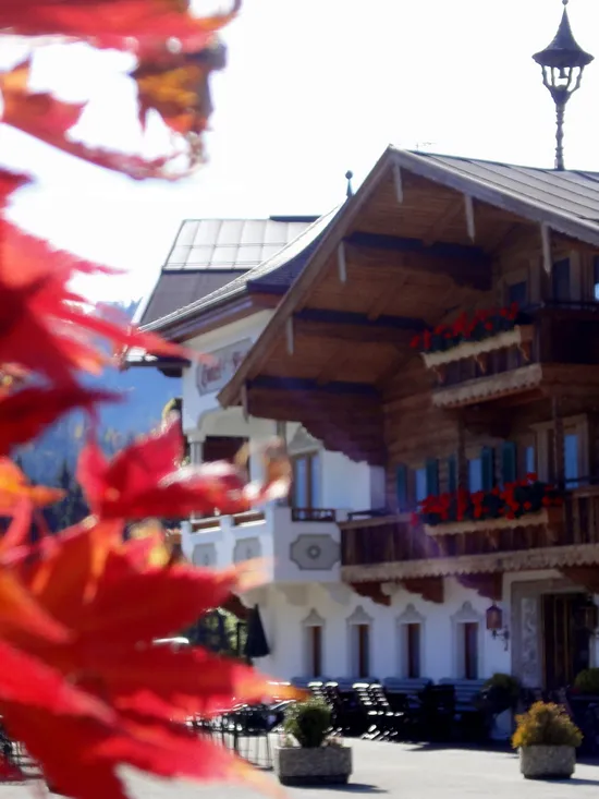 Traditionelles Alpenchalet mit Blumenkästen und Herbstlaub im Vordergrund