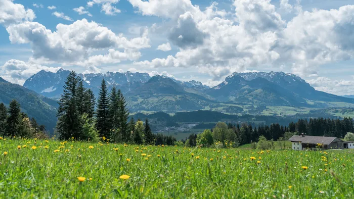 Alpine meadow with yellow wildflowers and snow-capped mountains under a partly cloudy sky
