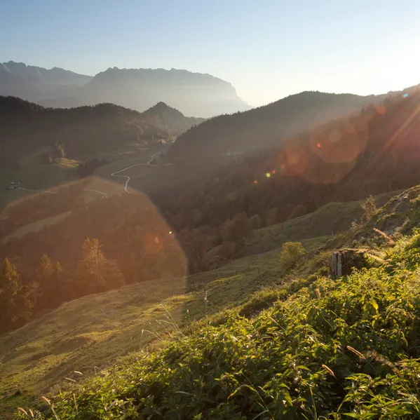 Sunrise over alpine mountain landscape with forested hills and winding path